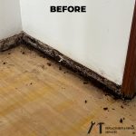 door-frame-repair-services-a1-door-and-door-frame-replacement-and-repair-services-singapore-condo-pasir-panjang-before-1